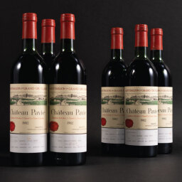 Pavie 1982