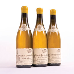 Chablis Montee de Tonnerre Raveneau 2010