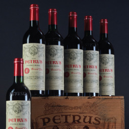 Petrus 1996