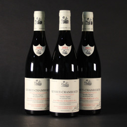 Gevrey Chambertin Vieilles Vignes Jean Michel Guillon 2011