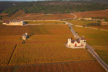 Chateau de la Tour Wines & Experience