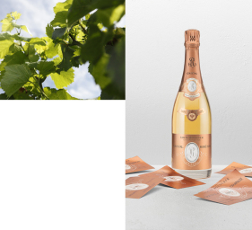 A Louis Roederer Legacy