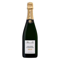 Champagne Palmer Grands Terroirs 2015 Magnum (1.5L)