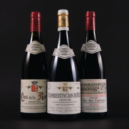 Chambertin Clos de Beze Armand Rousseau 2003