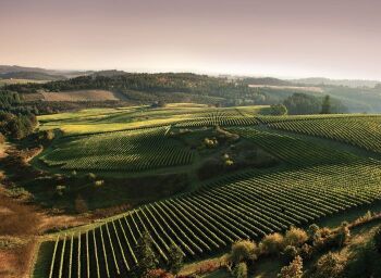 It Takes a Valley - The Ultimate Willamette Experience