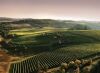 It Takes a Valley - The Ultimate Willamette Experience