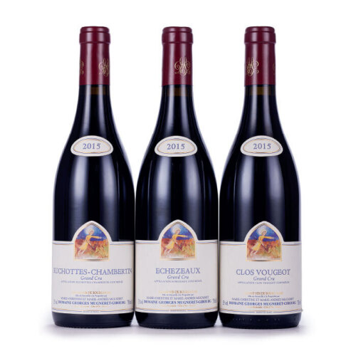 Georges Mugneret-Gibourg 2015