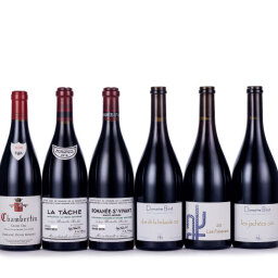 Vosne Romanee Les Paisseaux Domaine Bizot 2021