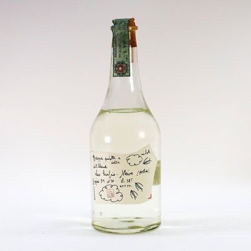Grappa Levi Serafino di Levi Romano 2000