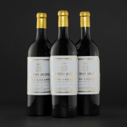 Pichon Longueville Comtesse de Lalande 1895