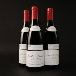Nuits St Georges Aux Allots Domaine Leroy 1995