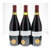 Cornas Chaillots Thierry Allemand 1991 - 7
