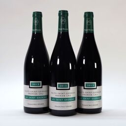 Nuits St Georges Les St Georges Henri Gouges 2013