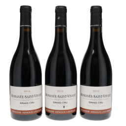 Romanee St Vivant Arnoux-Lachaux 2010