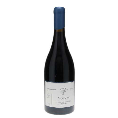 Arnaud Ente 2015