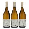 Montrachet Amiot Guy et Fils 2019