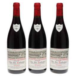 Ruchottes Chambertin Clos des Ruchottes Armand Rousseau 2009
