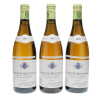 Chassagne Montrachet Les Ruchottes Domaine Ramonet 2004
