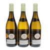 Montrachet Domaine Ramonet 2020 - 9