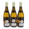 Montrachet Domaine Ramonet 2020 - 3