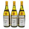 Bienvenues Batard Montrachet Domaine Leflaive 1996 - 3