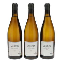 Chassagne Montrachet Caillerets Lamy-Caillat 2012