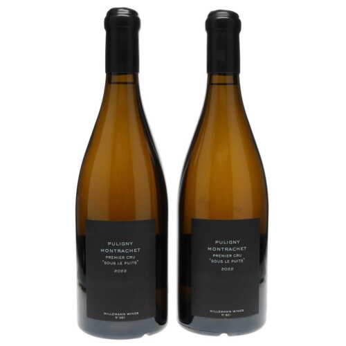 Puligny Montrachet Sous Le Puits Millemann 2022