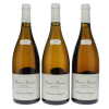 Batard Montrachet Etienne Sauzet 2010