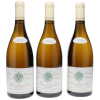 Montrachet Domaine Baron Thenard 2019