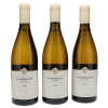 Montrachet Lamy-Pillot 2018