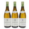 Batard Montrachet Domaine Jean-Claude Ramonet 2017 - 2