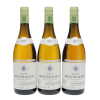 Montrachet Domaine Jean-Claude Ramonet 2017 - 7