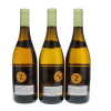 Montrachet Domaine Jean-Claude Ramonet 2017 - 9