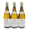 Montrachet Domaine Jean-Claude Ramonet 2019 - 4
