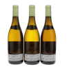 Montrachet Domaine Jean-Claude Ramonet 2015 - 6