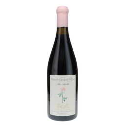 Nuits St Georges Aux Argillas Charles Lachaux 2020