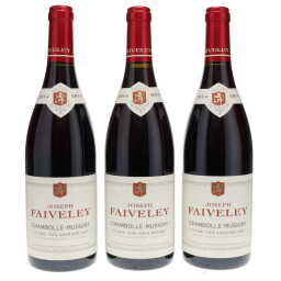 Chambolle Musigny Les Amoureuses Faiveley 2014