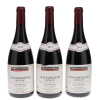 Clos St Denis Vieilles Vignes Domaine des Chezeaux Ponsot 2013