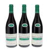Nuits St Georges Les St Georges Henri Gouges 2005
