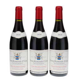 Vosne Romanee Les Gaudichots Machard de Gramont 2020