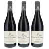 Ruchottes Chambertin Henri Magnien 2020
