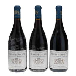 Vosne Romanee Aux Reignots Liger-Belair 2009