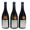 Vosne Romanee Aux Reignots Liger-Belair 2009 - 5