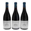 Vosne Romanee Aux Reignots Liger-Belair 2009 - 7