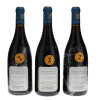 Vosne Romanee Aux Reignots Liger-Belair 2009 - 9