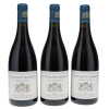Nuits St Georges aux Lavieres Liger-Belair 2017