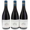 Nuits St Georges aux Lavieres Liger-Belair 2017 - 2