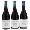 Nuits St Georges aux Lavieres Liger-Belair 2016