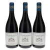 Nuits St Georges aux Lavieres Liger-Belair 2019