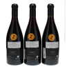 Chambertin Millemann 2021 - 2